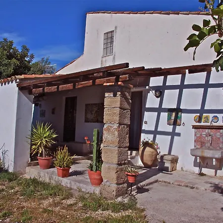 La ginestra-3